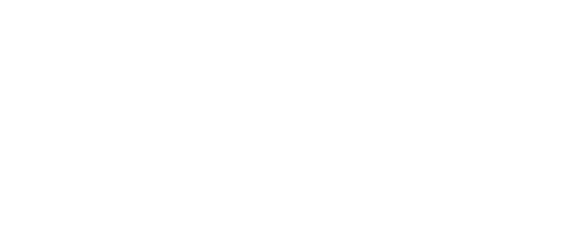 آران پرواز سیلک
